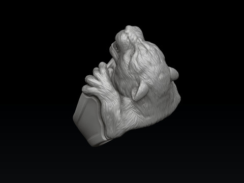 Pantere Ring 3D print model 3D 打印模型
