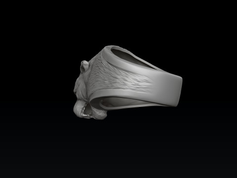 Pantere Ring V 2 3D print model 3Dプリントモデル