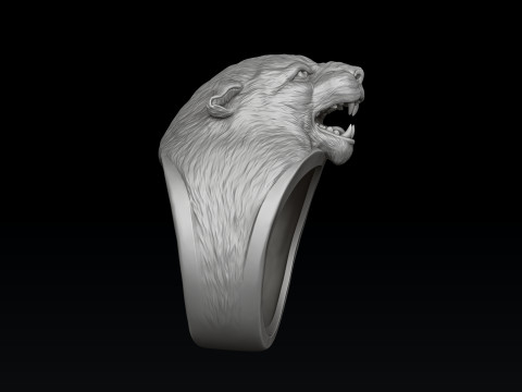 Pantere Ring V 2 3D print model 3Dプリントモデル