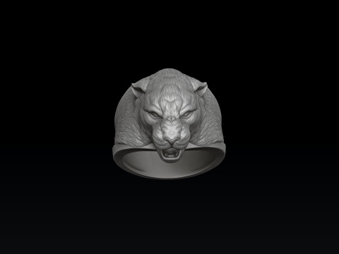 Pantere Ring V 2 3D print model 3Dプリントモデル