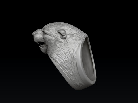 Pantere Pendant Ring V2 Collection Set 3D print model 3Dプリントモデル