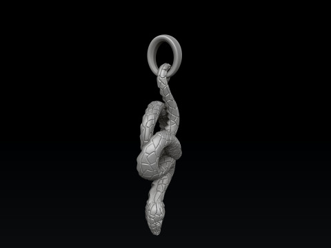 Snake Pendant V2 3D print model 3D 打印模型