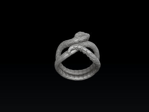 Snake Ring V2 3D print model 3Dプリントモデル