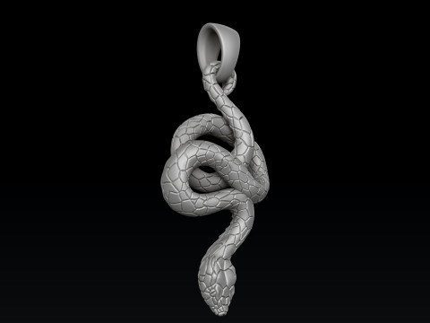 Snake Ring Pendant V2 Collection Set 3D print model 3Dプリントモデル