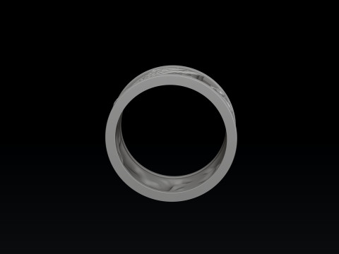Pegasus Ring 3D print model 3Dプリントモデル