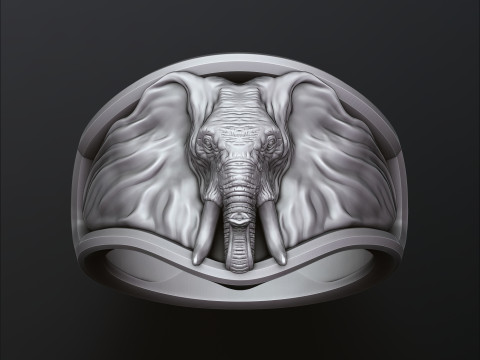 Elephant Ring N2 3D print model Modello di stampa 3D