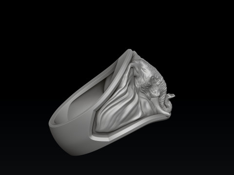 Elephant Ring N2 3D print model 3Dプリントモデル