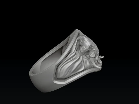 Elephant Ring N2 3D print model 3D Print Model