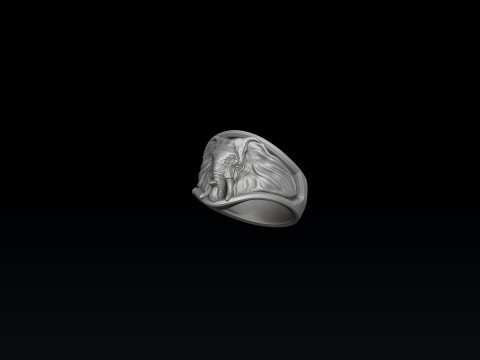 Elephant Ring N2 3D print model 3Dプリントモデル