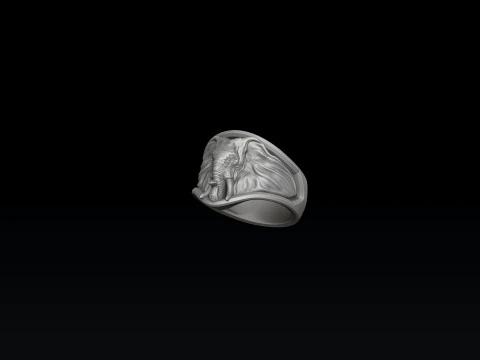 Elephant Ring N2 3D print model 3D Print Model