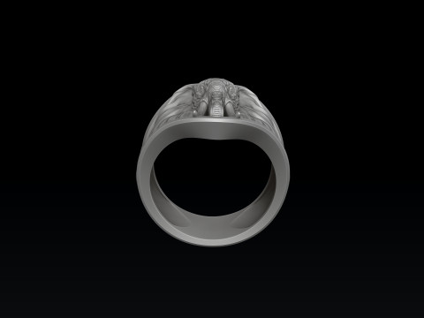 Elephant Ring N2 3D print model 3Dプリントモデル