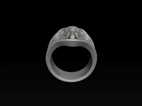 Elephant Ring N2 3D print model 3D Print Model