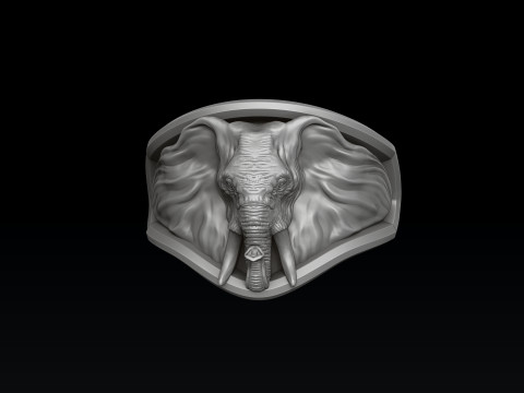 Elephant Ring N2 3D print model 3Dプリントモデル