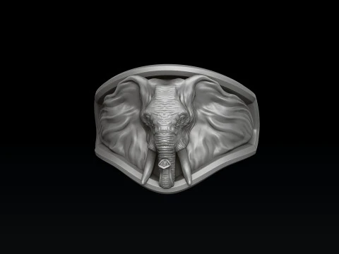 Elephant Ring N2 3D print model 3D Print Model