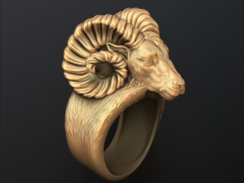 Aries Ring 3D print model 3Dプリントモデル