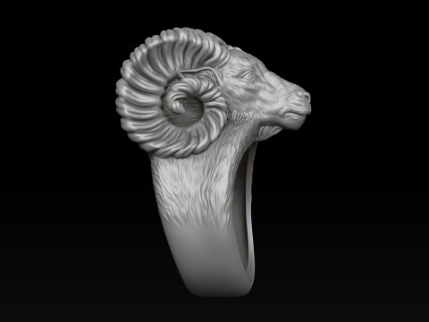 Aries Ring 3D print model Modèles 3D en vedette