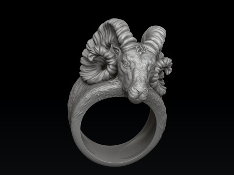 Aries Ring 3D print model Modèles 3D en vedette