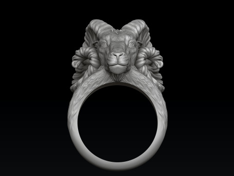 Aries Ring 3D print model Modèles 3D en vedette