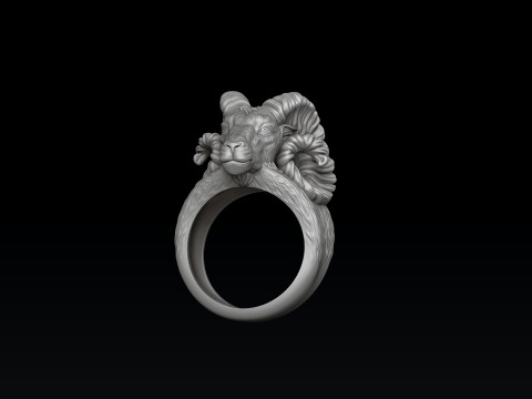 Aries Ring 3D print model Modèles 3D en vedette