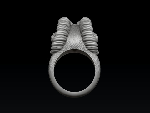 Aries Ring 3D print model Modèles 3D en vedette