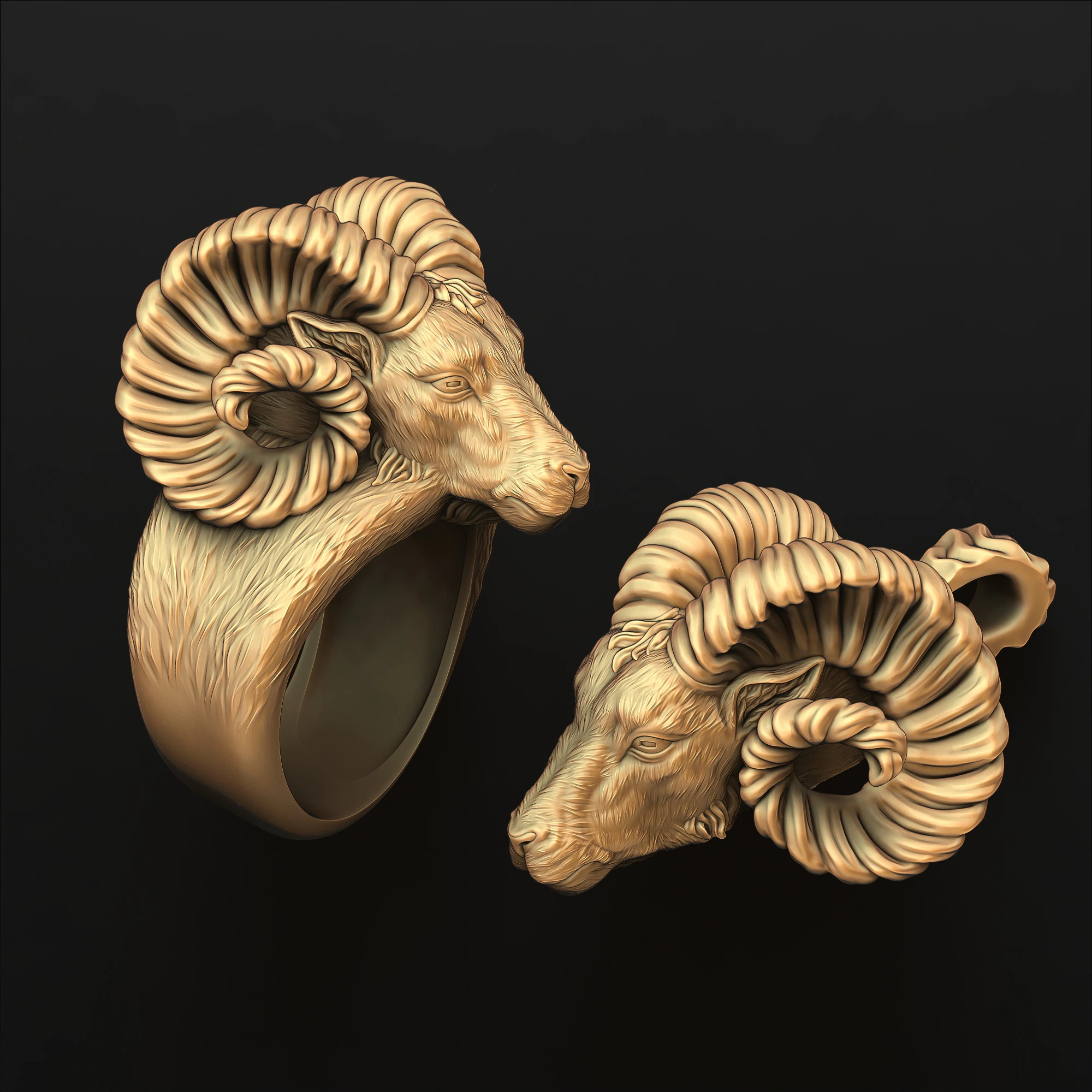 Aries Head Pendant Ring Collection 3D print model 3D Print Model .c4d .max .obj .3ds .fbx .stl .blend 