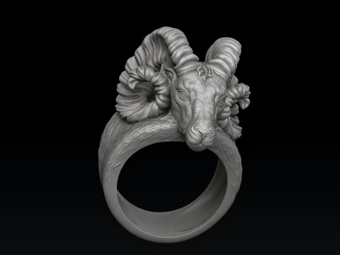 Aries Head Pendant Ring Collection 3D print model 3D Print Model