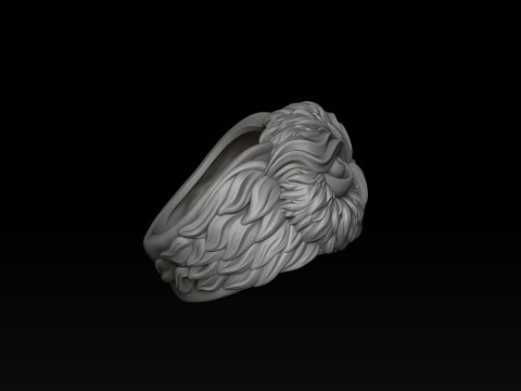 Owl Ring v2 3D print model 3Dプリントモデル