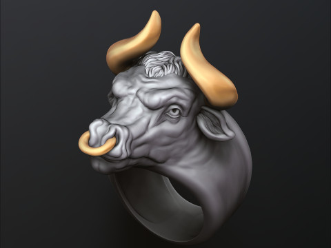 Bull ring 3D print model 3Dプリントモデル