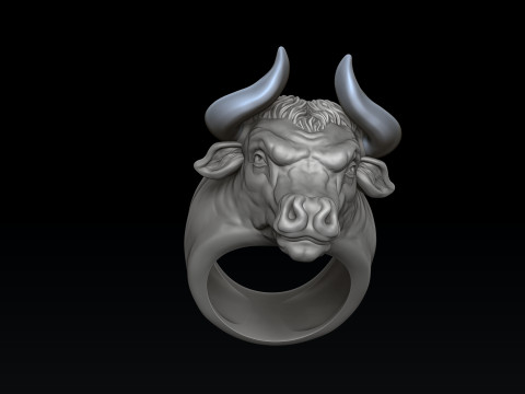 Bull ring 3D print model 3Dプリントモデル