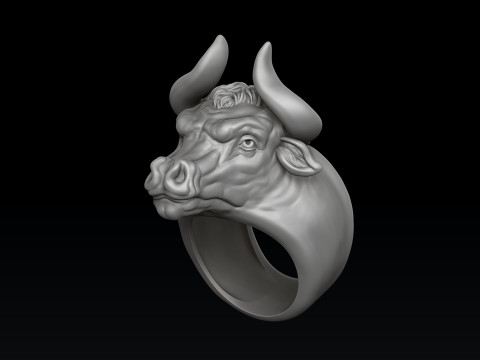 Bull ring 3D print model 3Dプリントモデル