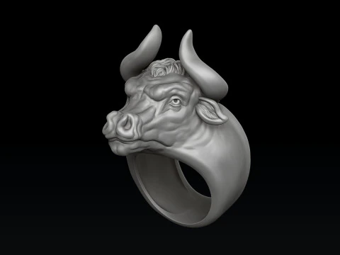 Bull ring 3D print model 3D Print Model