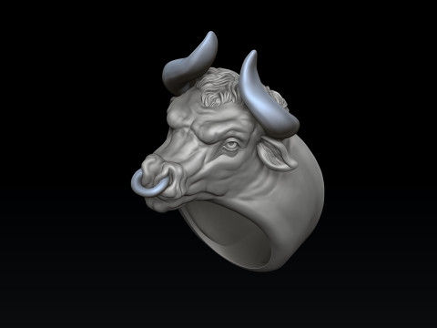 Bull ring 3D print model 3Dプリントモデル
