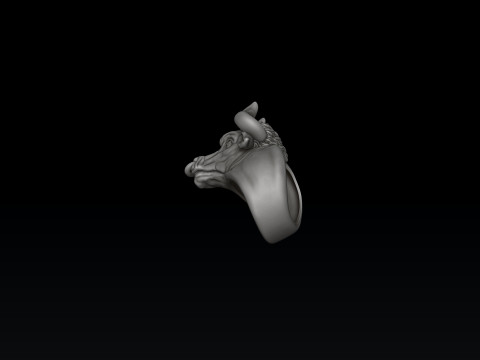 Bull ring 3D print model 3Dプリントモデル