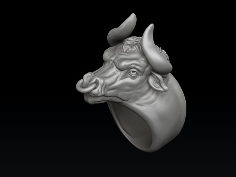 Bull ring 3D print model 3Dプリントモデル