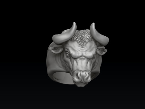Bull ring 3D print model 3Dプリントモデル