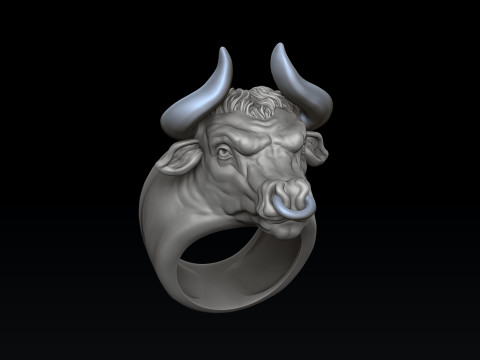 Bull ring 3D print model 3Dプリントモデル
