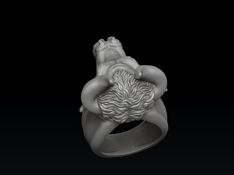 Bull ring 3D print model 3Dプリントモデル