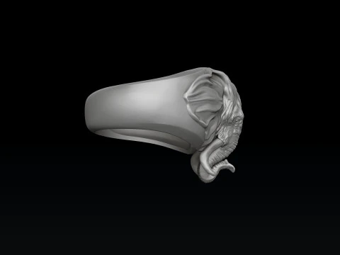Elephant Head Ring 3D print model 3D Print Model