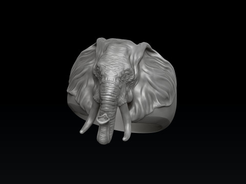 Elephant Head Ring 3D print model 3D प्रिंट मॉडल