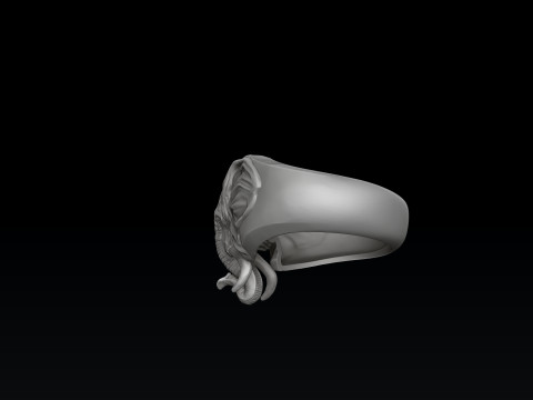 Elephant Head Ring 3D print model 3D प्रिंट मॉडल