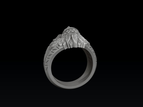 Native Indian Ring v2 3D print model 3D प्रिंट मॉडल