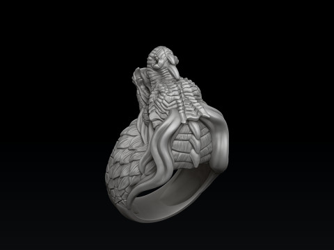 Dragon Ring 3D print model 3D Принт Модель
