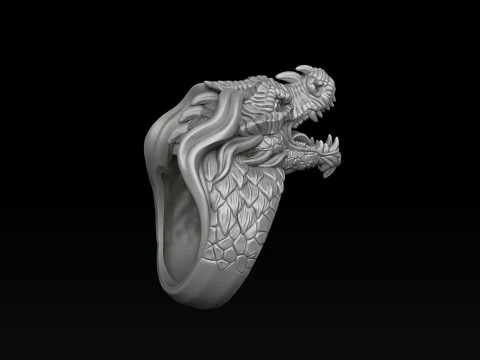 Dragon Ring Pendant Collection 3D print models 3D Print Model