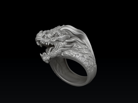 Dragon Ring Pendant Collection 3D print models 3D Print Model