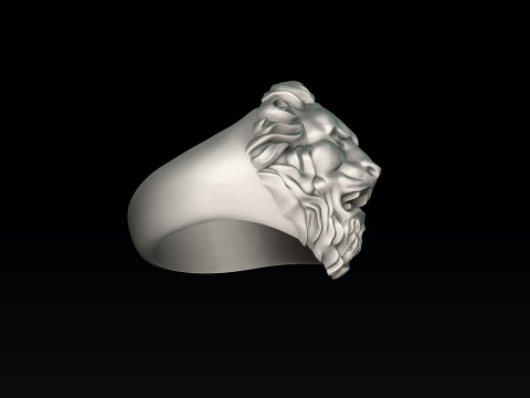 Free Lion Ring Pendant Collection Free 3D print model 3D Принт Модель