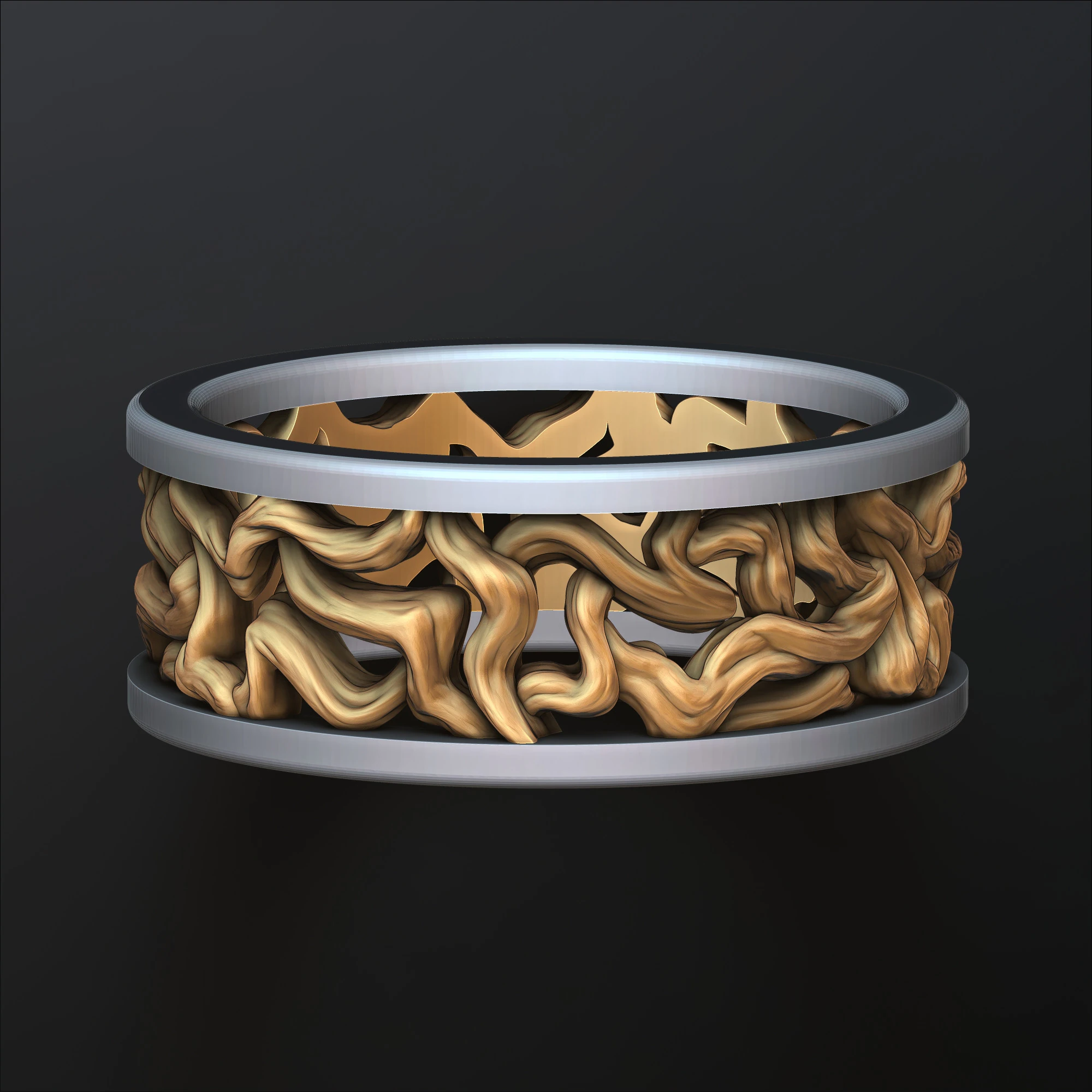 Tree Branches Ring 3D print model 3D Print Model .c4d .max .obj .3ds .fbx .stl .blend 