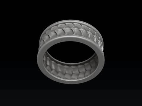 Dragon Scale Skin Ring 3D print model 3D Print Model