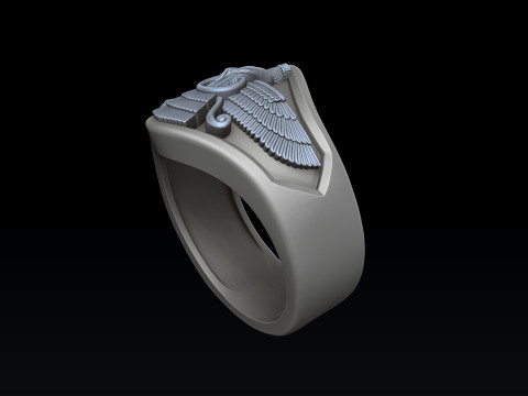 Faravahar Ahura Mazda Ring 3D print model 3D Print Model