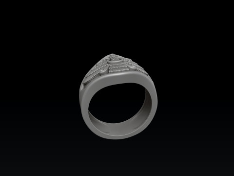 Faravahar Ahura Mazda Ring 3D print model 3D Print Model