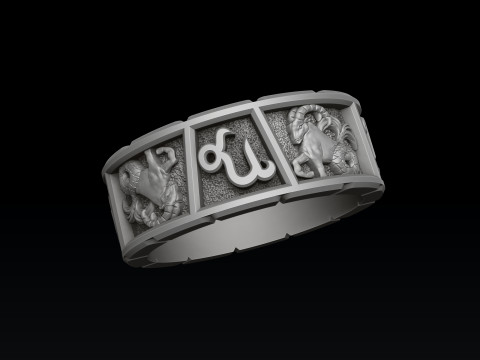 Horoscope Capricorn Ring v2 3D print model 3D print model Modello di stampa 3D